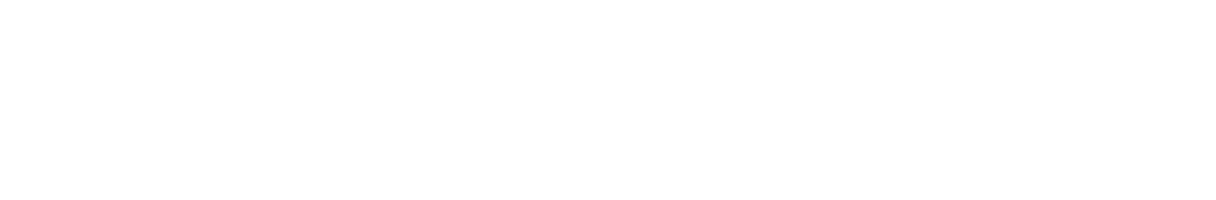 skoda_wordmark_rgb_white_68a8e773